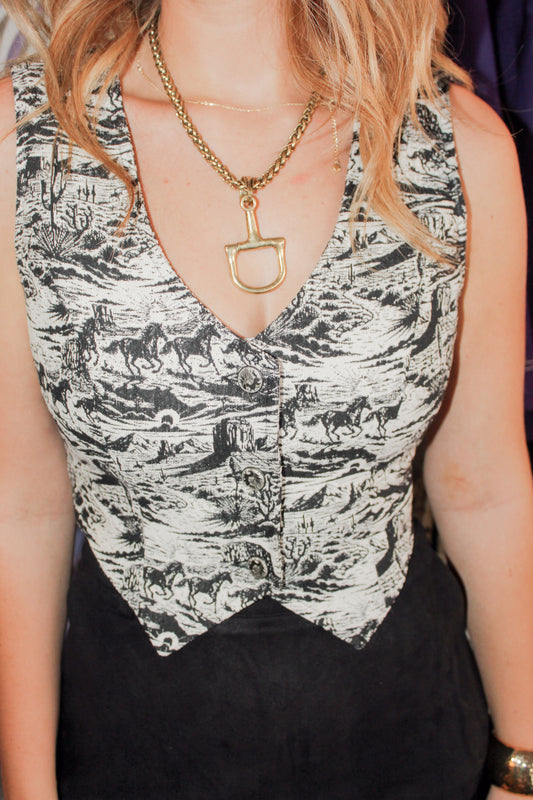 Midnight Mesa Vest