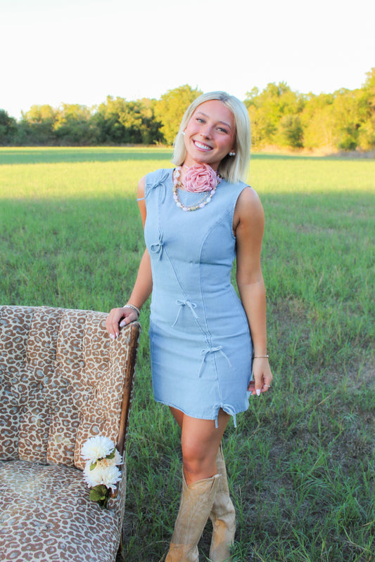 Bow Down Denim Dress