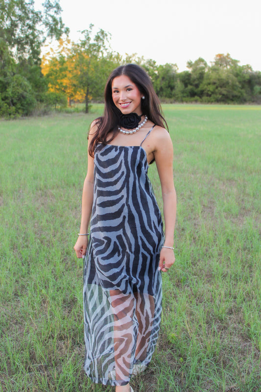 Zebra After Dark