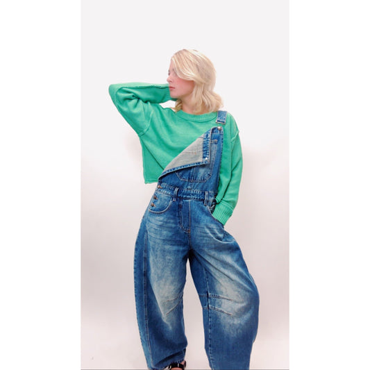 Ellsworth Lucky Barrel Overalls