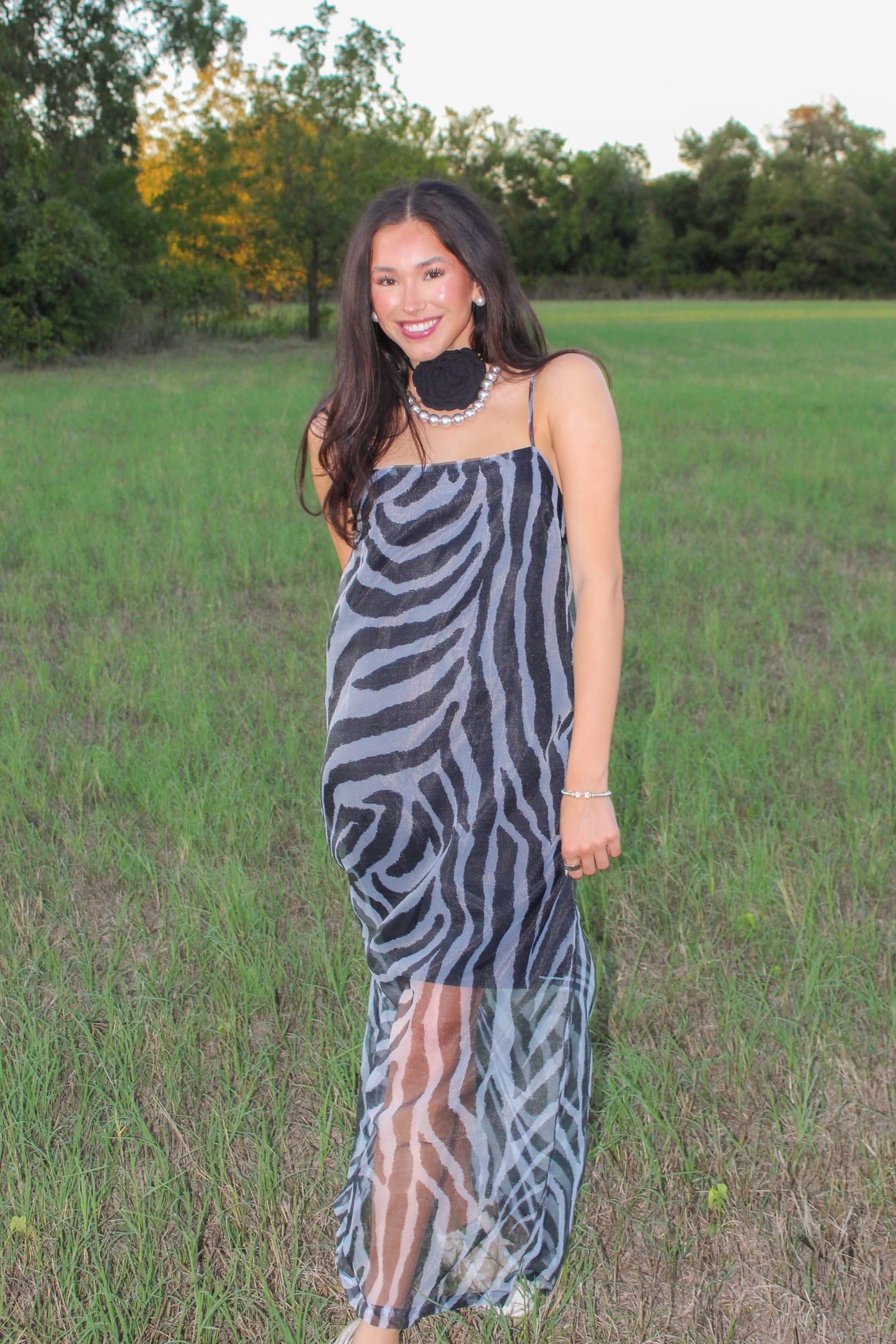 Zebra After Dark