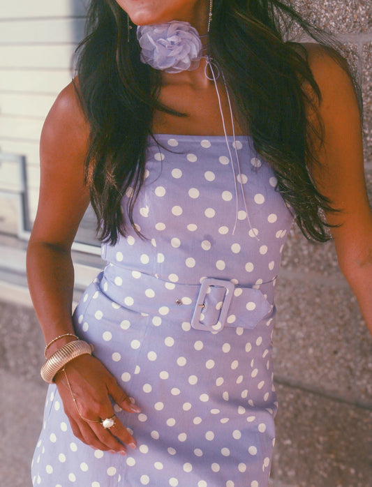 Dot and Denim Dress
