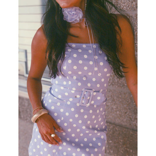 Dot and Denim Dress
